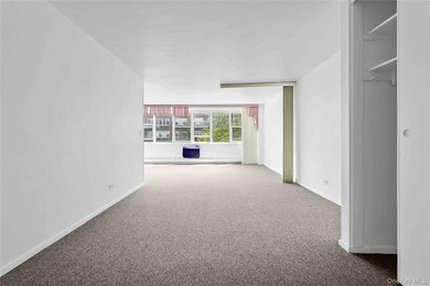 Welcome to this spacious and well-maintained co-op studio in the - photo 10