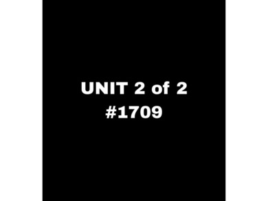 Rare opportunity to own a fully renovated, income-producing NO - photo 21