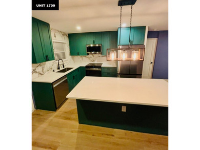 Rare opportunity to own a fully renovated, income-producing NO - photo 23