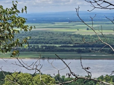 Lake Acreage For Sale in Morrilton, Arkansas