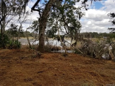 (private lake, pond, creek) Acreage For Sale in Inverness Florida