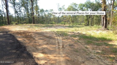 (private lake, pond, coastal) Acreage For Sale in Grenada Mississippi