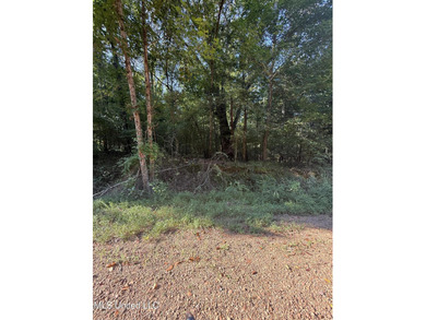 (private lake, pond, creek) Acreage For Sale in Coldwater Mississippi