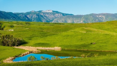 (private lake, pond, creek) Acreage For Sale in Big Horn Wyoming