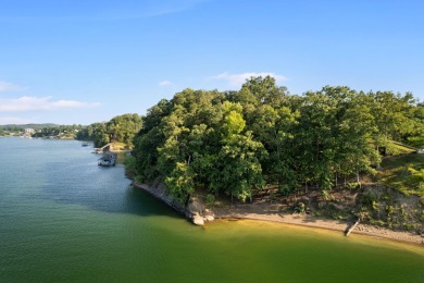 Discover your perfect lakeside retreat on this exceptional 1 - Lake Lot For Sale in Bremen, Alabama