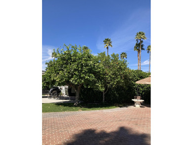 This desirable corner lot features a beautifully brick paved - photo 3