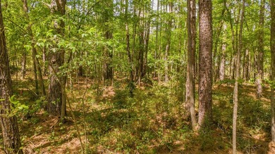 Build your dream home on this beautiful 0.362-acre lot located - photo 1