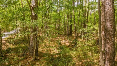 Build your dream home on this beautiful 0.362-acre lot located - photo 2