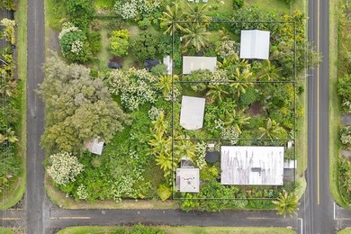 Experience Wai Mana Sanctuary-an organically cultivated food - photo 3