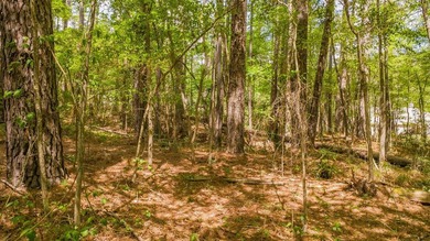 Build your dream home on this beautiful 0.362-acre lot located - photo 3
