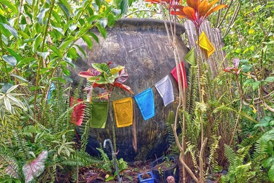 Experience Wai Mana Sanctuary-an organically cultivated food - photo 4