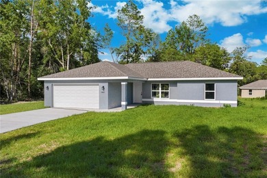 This spacious home offers modern comfort, durable construction - photo 4