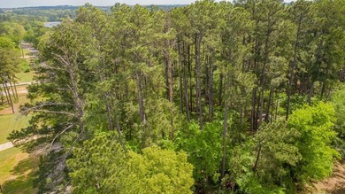 Build your dream home on this beautiful 0.362-acre lot located - photo 10