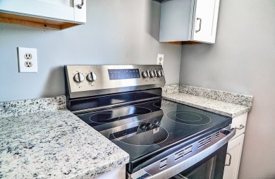 Stunning Fully Renovated Condo - Move-In Ready!  Step into
