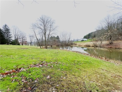 (private lake, pond, creek) Acreage For Sale in New Cumberland West Virginia