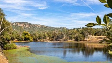 (private lake, pond, creek) Home For Sale in O Neals California