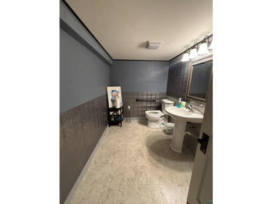 **Prime Cannabis Retail Property - Downtown Ely, MN** **Over 7 - photo 5