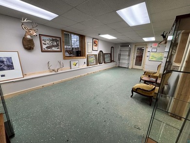 **Prime Cannabis Retail Property - Downtown Ely, MN** **Over 7 - photo 7