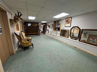 **Prime Cannabis Retail Property - Downtown Ely, MN** **Over 7 - photo 10