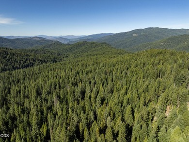 The Four Corners Ranch offers 897.32 acres of productive - photo 3