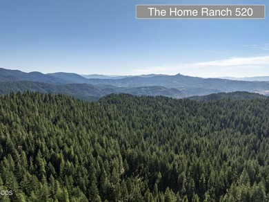 The Four Corners Ranch offers 897.32 acres of productive - photo 9