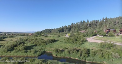 (private lake, pond, creek) Acreage For Sale in Alpine Wyoming