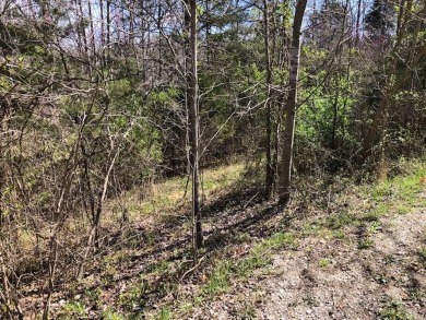 Lake Lot For Sale in Monroe, Tennessee