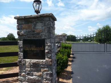Peaceful Half Acre Cottage Lot - photo 5
