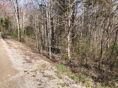 Lake Lot For Sale in Monroe, Tennessee