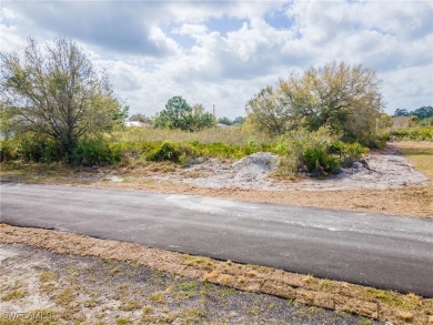 Lehigh Acres Area Lot For Sale in Lehigh Acres Florida