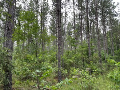 Lake Sam Rayburn  Acreage For Sale in Chireno Texas