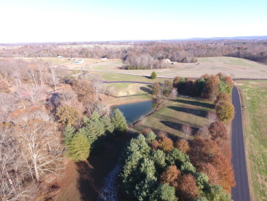 Peaceful Half Acre Cottage Lot - photo 4