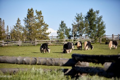 For nearly 100 years, Latigo Ranch has been providing a first - photo 9