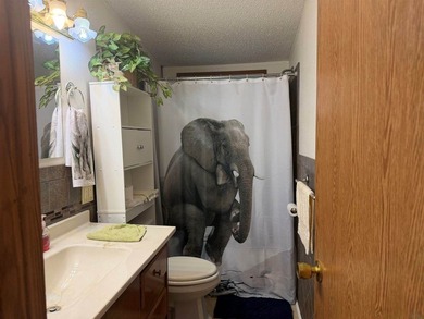 Let's take a look at 213 Plymouth St. in Westfield, IA! Situated - photo 29
