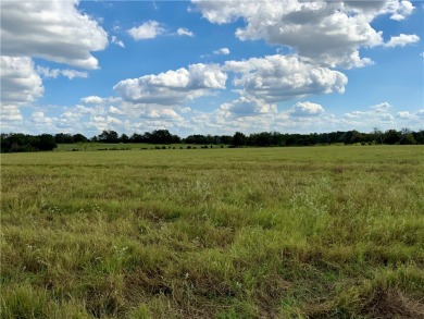 Lake Acreage For Sale in Groesbeck, Texas