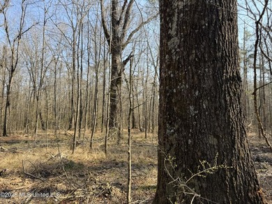 Land for sale in Simpson Countye check out this beautiful +/- 80 - photo 11