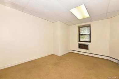 GREAT NECK 11021 - OFFICE or RESIDENTIAL Space!! // Unique co-op - photo 11
