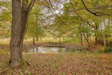 Lake Acreage For Sale in Tuscumbia, Alabama
