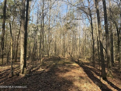 Land for sale in Simpson Countye check out this beautiful +/- 80 - photo 12