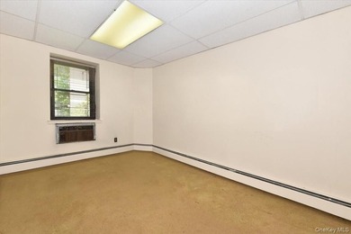 GREAT NECK 11021 - OFFICE or RESIDENTIAL Space!! // Unique co-op - photo 12