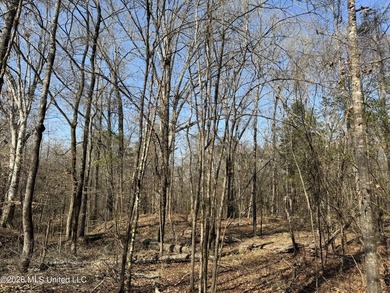Land for sale in Simpson Countye check out this beautiful +/- 80 - photo 13