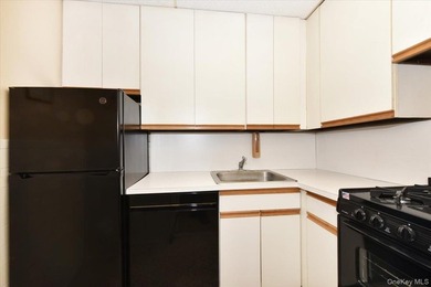 GREAT NECK 11021 - OFFICE or RESIDENTIAL Space!! // Unique co-op - photo 13