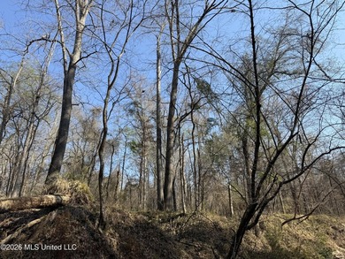 Land for sale in Simpson Countye check out this beautiful +/- 80 - photo 14