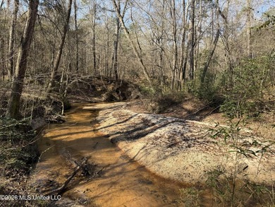 Land for sale in Simpson Countye check out this beautiful +/- 80 - photo 15