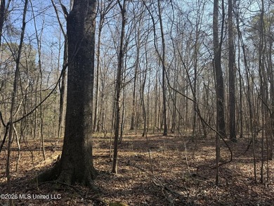 Land for sale in Simpson Countye check out this beautiful +/- 80 - photo 16