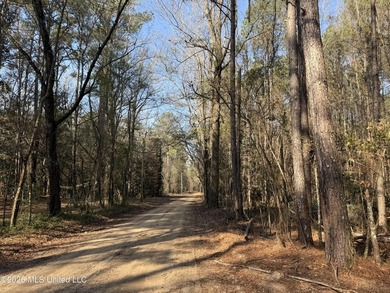 Land for sale in Simpson Countye check out this beautiful +/- 80 - photo 17