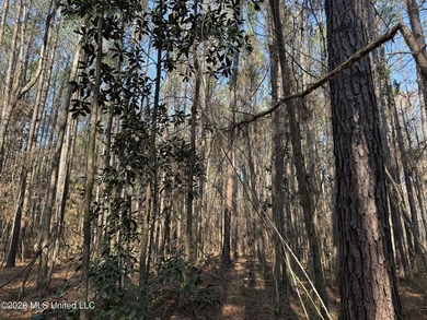 Land for sale in Simpson Countye check out this beautiful +/- 80 - photo 18