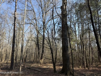 Land for sale in Simpson Countye check out this beautiful +/- 80 - photo 20