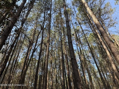 Land for sale in Simpson Countye check out this beautiful +/- 80 - photo 21