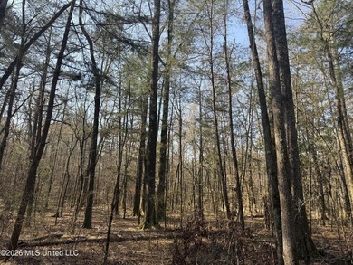 Land for sale in Simpson Countye check out this beautiful +/- 80 - photo 22